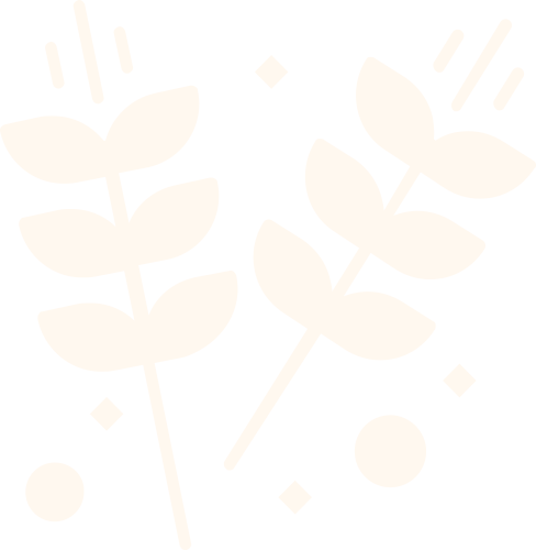 Rừng trồng
