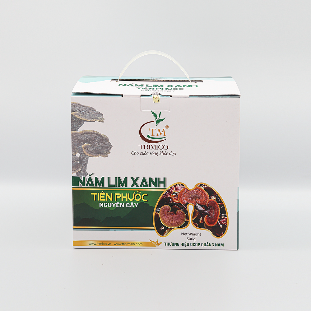 Nấm Lim Xanh Rừng Nguyên Cây 500g