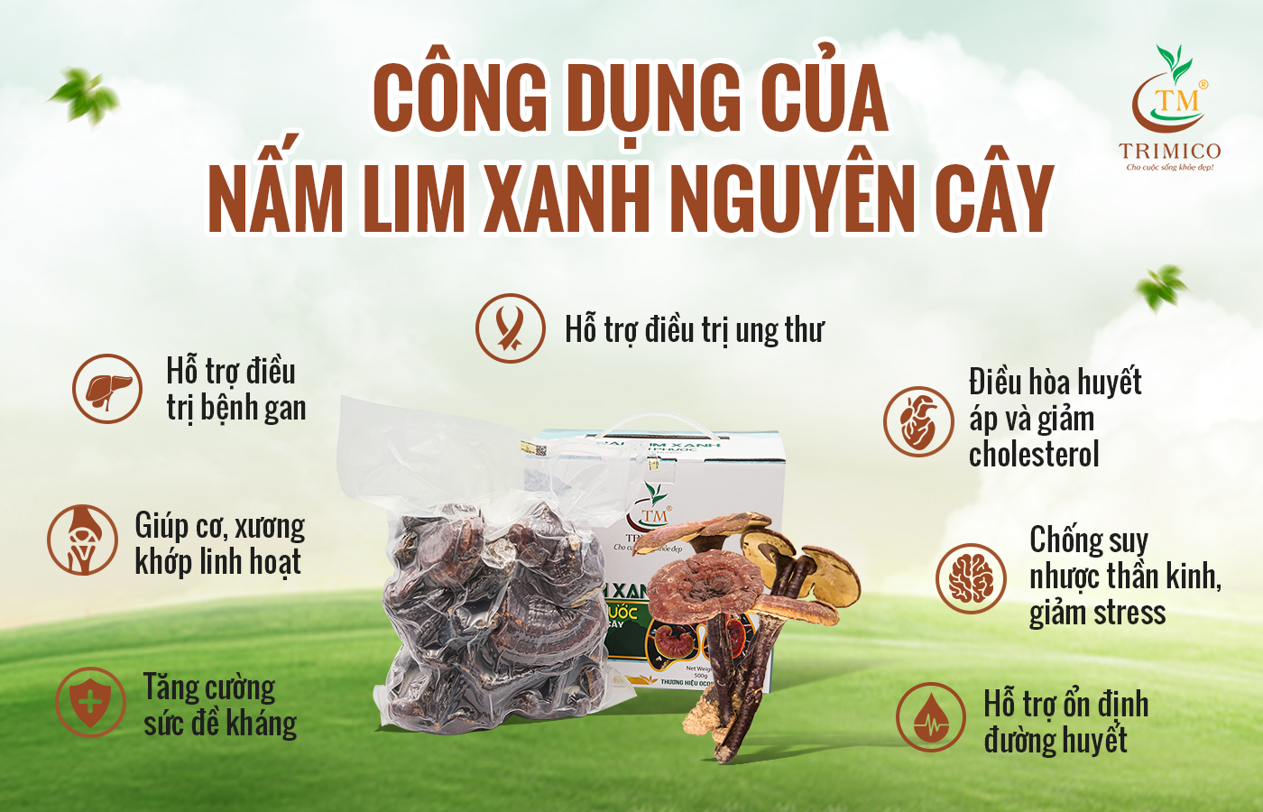 Nấm Lim Xanh thái lát