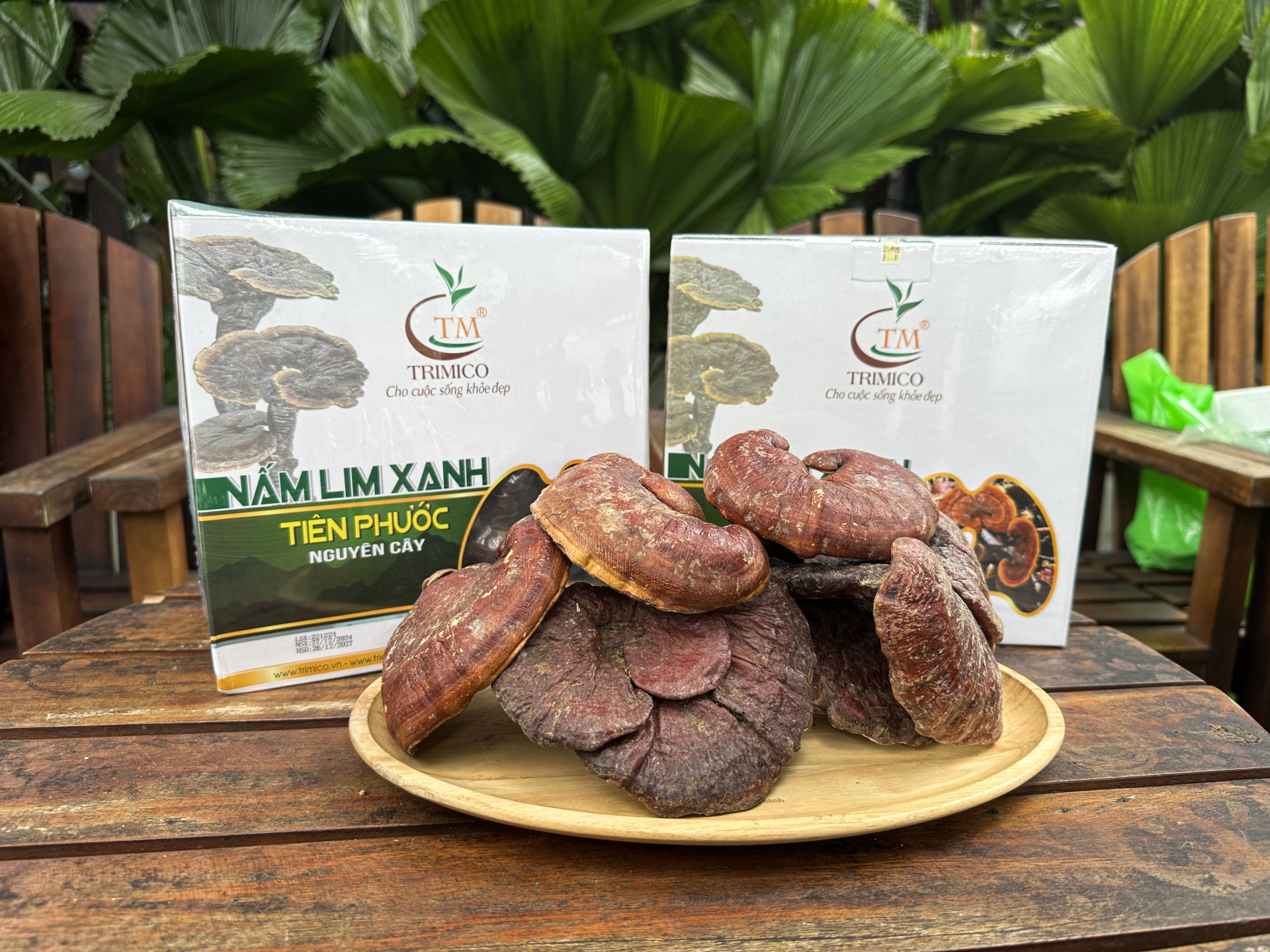 C&aacute;ch l&agrave;m nấm Lim Xanh