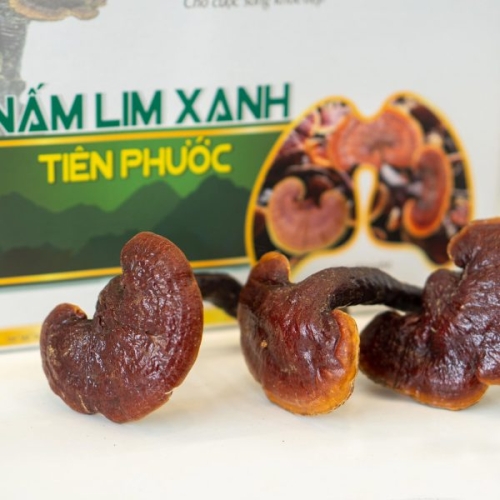 Khách Hàng Nhận Xét Gì Về Nấm Lim Xanh Thái Lát Của TRIMICO?