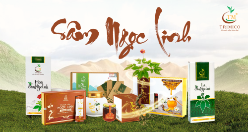 Khám phá các sản phẩm sâm Ngọc Linh được ưa chuộng nhất 2025